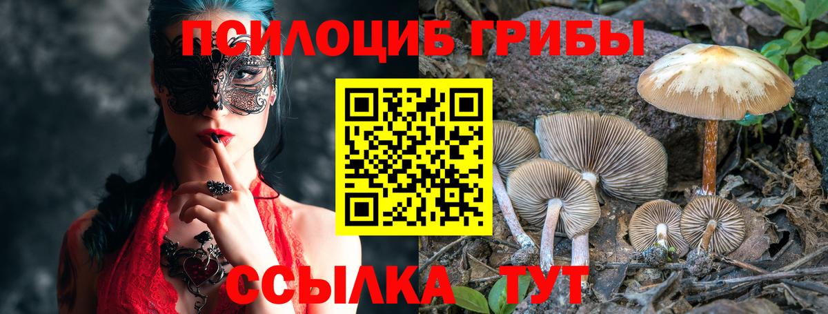 Галлюциногенные грибы GOLDEN TEACHER  Вход с VPN  Арсеньев 